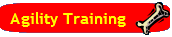 Agility Training