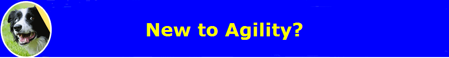 New to Agility?