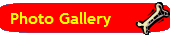 Photo Gallery