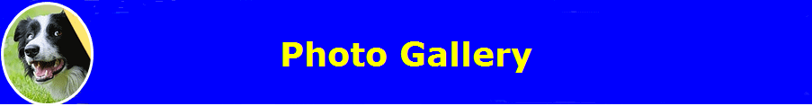 Photo Gallery
