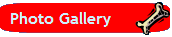 Photo Gallery